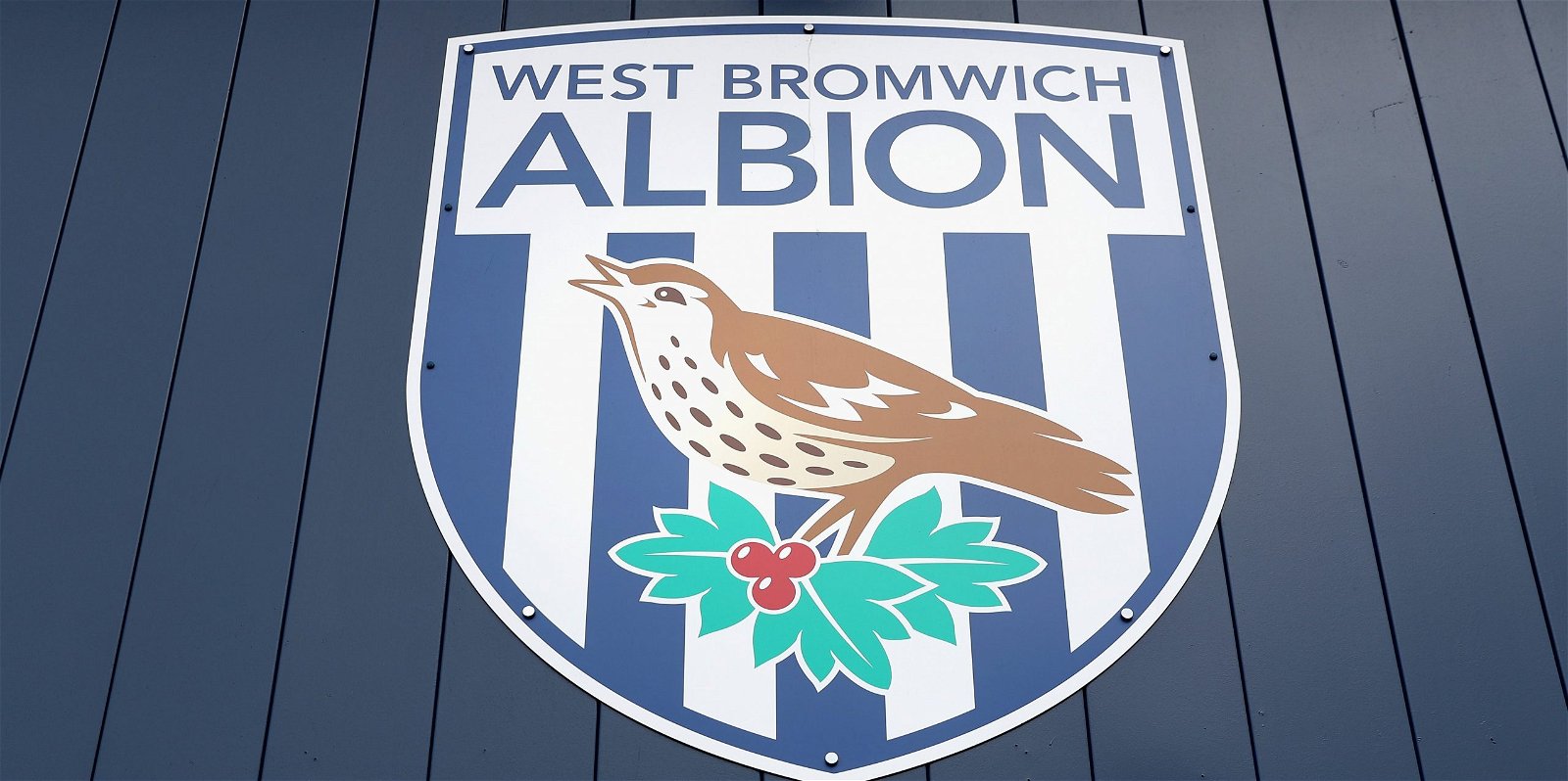 West Brom, West Brom and Crystal Palace interested in £14million rated French defender