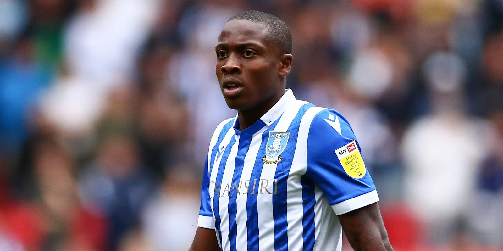 Sheffield Wednesday, Sheffield Wednesday ace Dennis Adeniran back in training after missing Plymouth Argyle defeat through injury