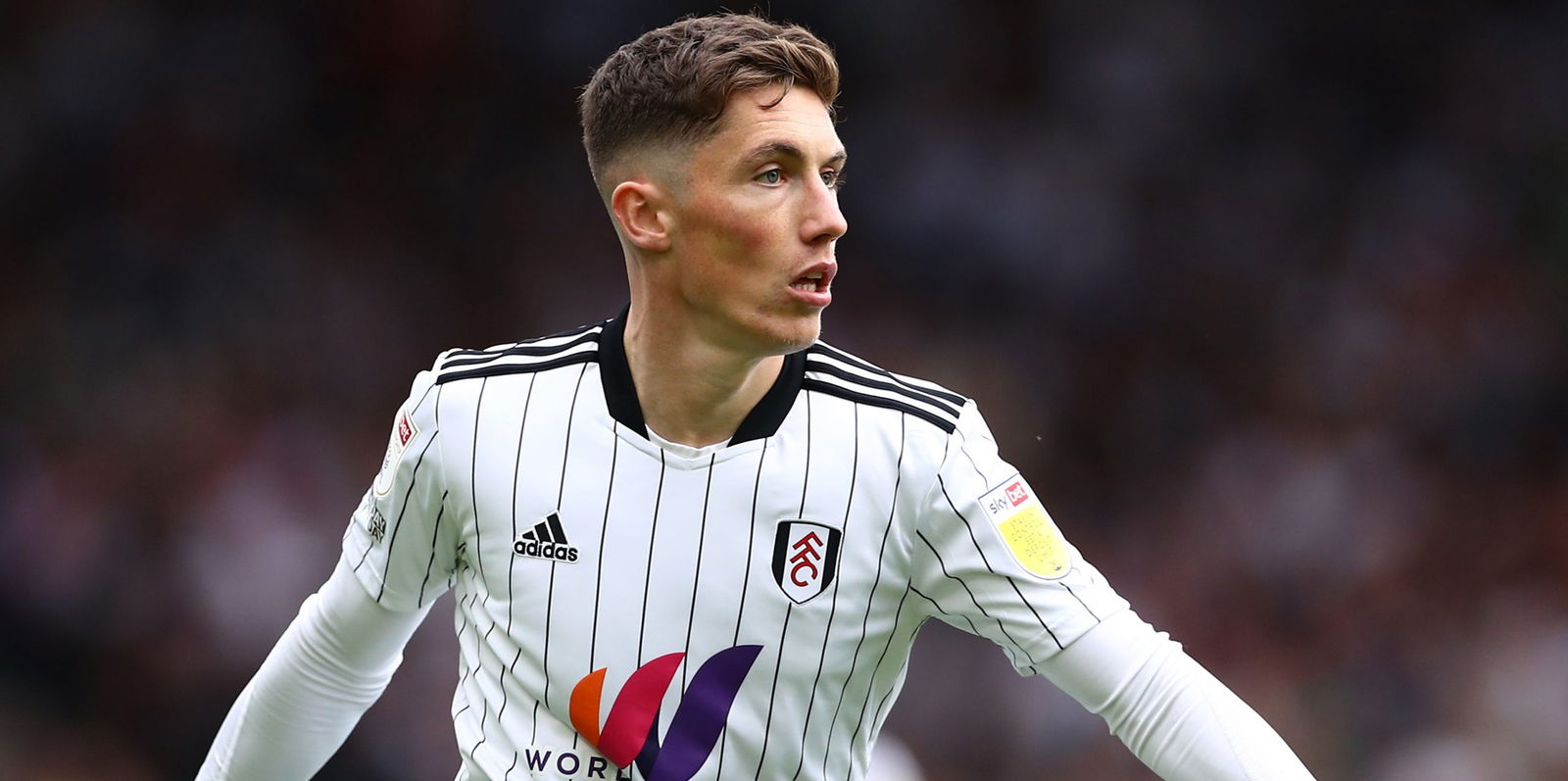 Fulham, Harry Wilson in contention for Fulham return v Birmingham City