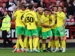 Norwich City, Stuart Webber discusses Norwich City&#8217;s January transfer window after Wagner appointment