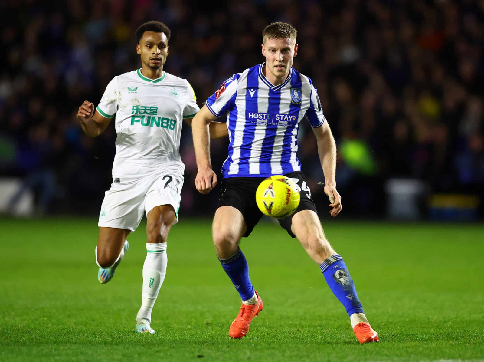 Sheffield Wednesday fancy move for 22-year-old Championship man after sealing promotion, says journalist - Vimarsana News