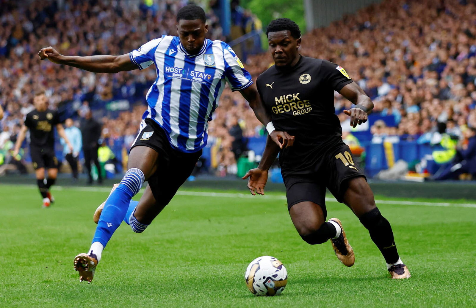 Sheffield Wednesday receive boost on the injury front as Danny Röhl