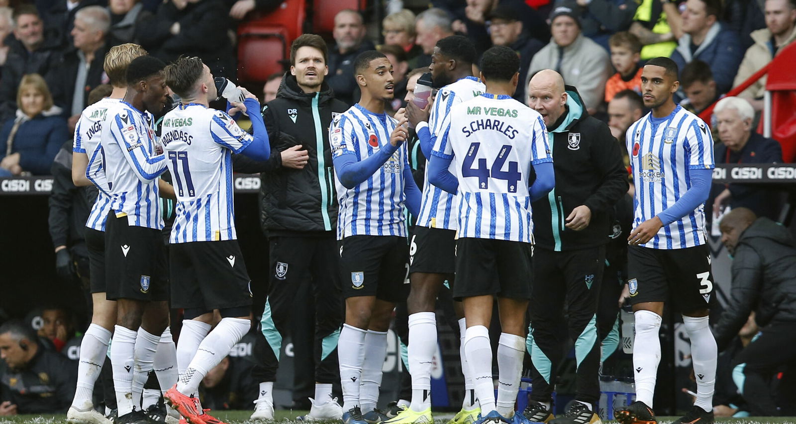 Sheffield Wednesday: Danny Rohl to take time in next club decision