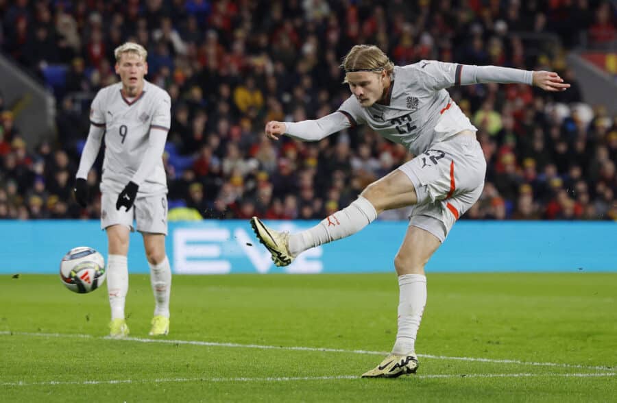 Iceland's Andri Gudjohnsen scores their first goal