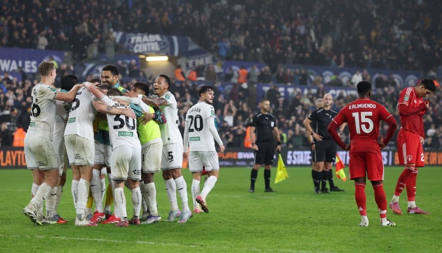 Swansea City players celebrate after the match