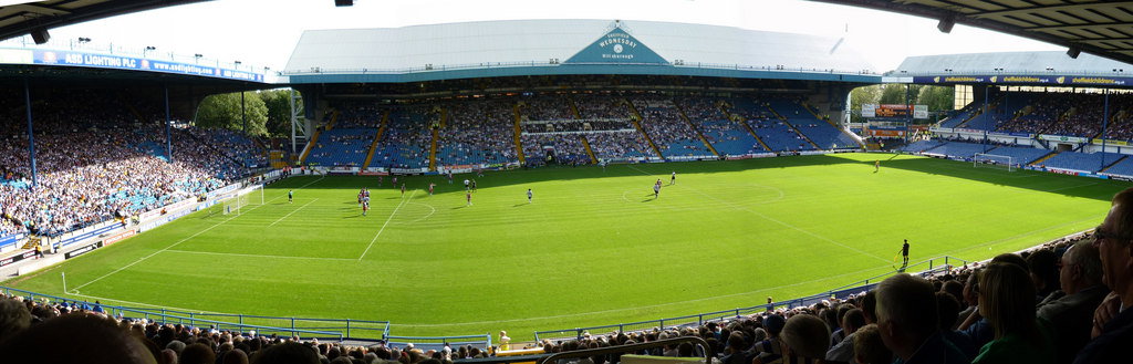 Sheffield Wednesday continue to weigh up player loan exit amid Forest Green Rovers links